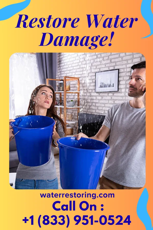 water restoration Local Cleanup Pros Hannibal